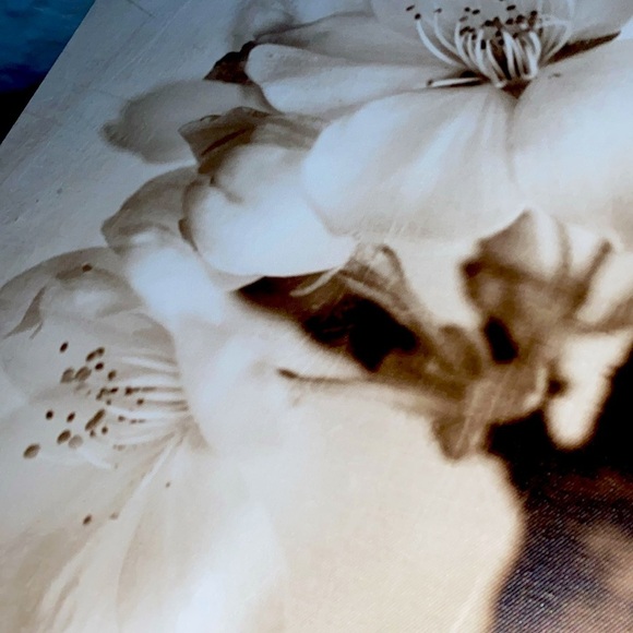 FLORA MAIA PICTURE SET IKEA PJATTERYD 22”x22”x 2"  Cherry Blossom Canvas - Picture 6 of 6